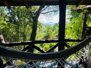 Chale VIP - vista da varanda (1)