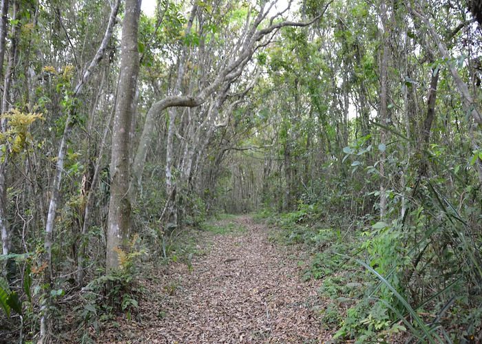 7b7a56_726180ee332645b2b03d9b396d4c9726~mv2