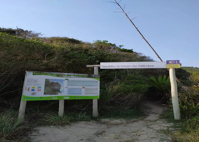 7b7a56_89d3783b2c224a60b981bdc85d203262~mv2