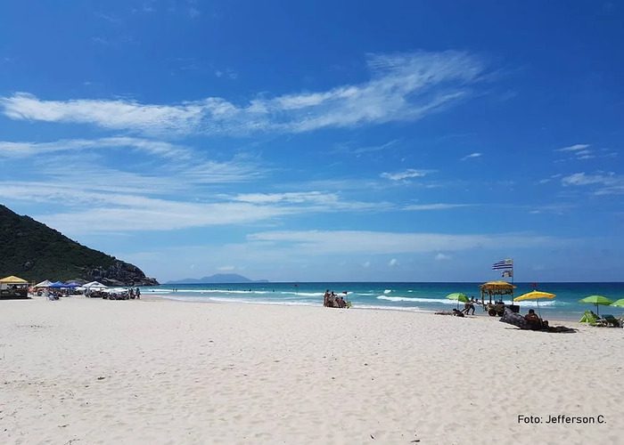 7b7a56_9552981a5b0f497cafeeec5c4dffc4fe~mv2