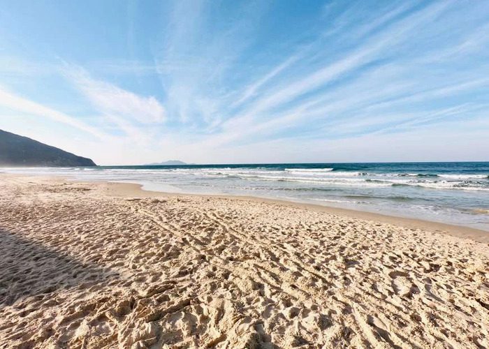 7b7a56_a2dc494afa14488891cbef0b9b120c7c~mv2