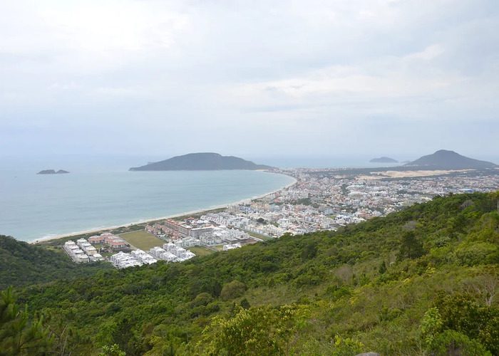 7b7a56_c84db1a0721142e2a3818d79d9c8ed23~mv2