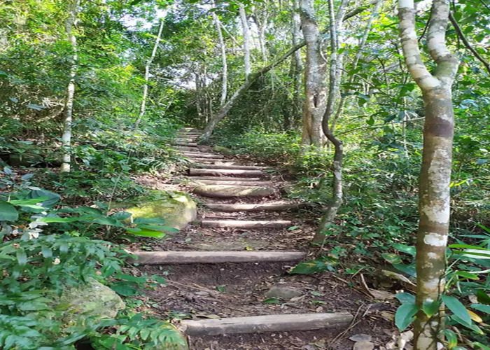 7b7a56_d6af95df04c442d1bcfdb9fd8bfd583e~mv2